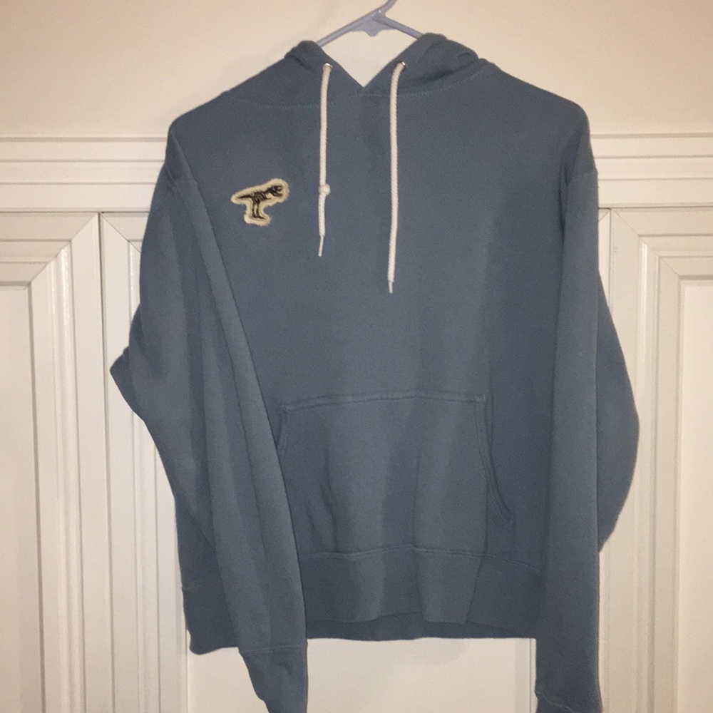 Dinosaur hoodie